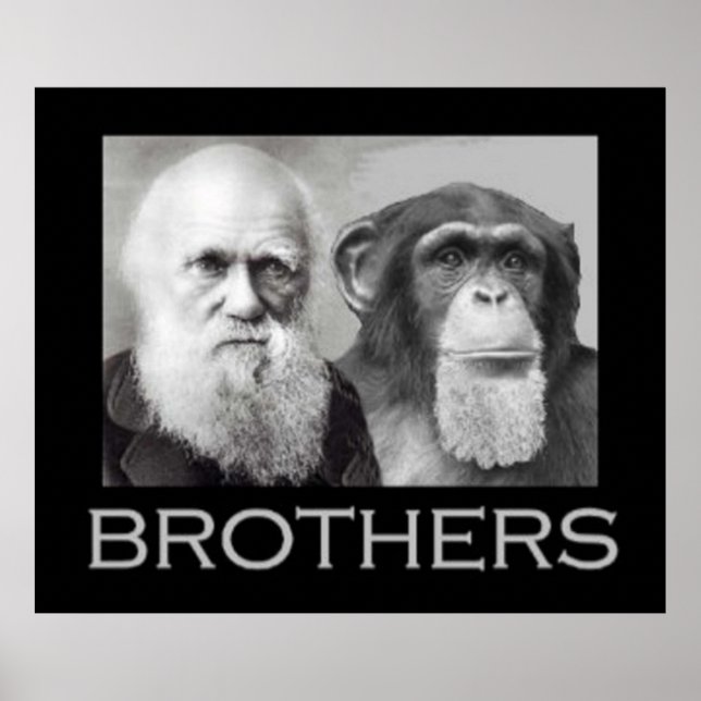 Portrait of Charles Darwin and Ape Poster (Front)