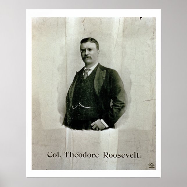 Portrait of Colonel Theodore Roosevelt (litho) Poster (Front)
