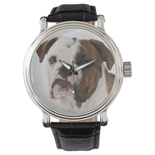 Portrait of cute Bulldog pup Watch (Front)