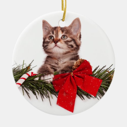 Portrait Of Cute Christmas Kitten Ceramic Ornament
