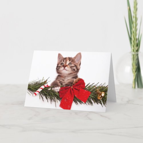 Portrait Of Cute Christmas Kitten Holiday Card