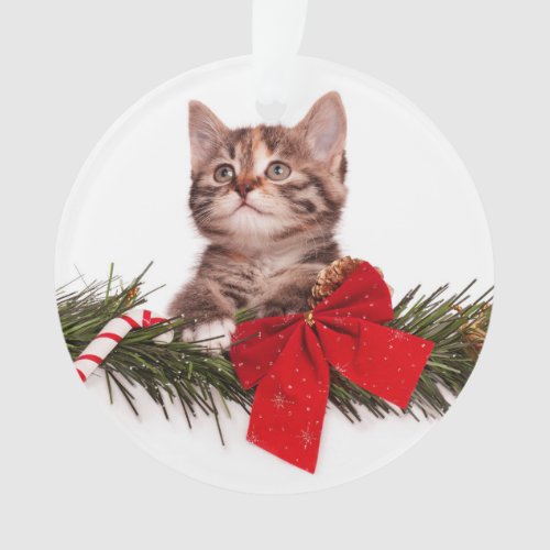 Portrait Of Cute Christmas Kitten Ornament