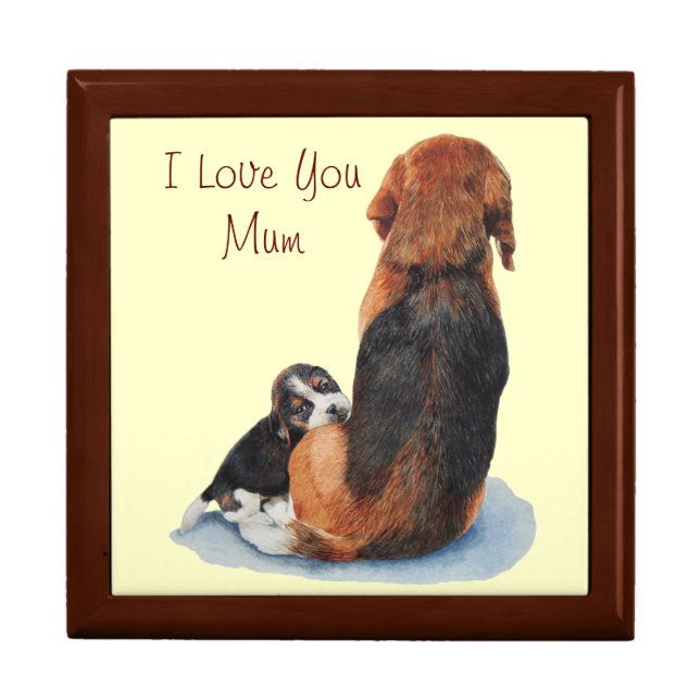 portrait of cute puppy beagle cuddling mum dog jewelry box (Front)