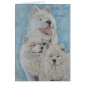 portrait of cute white long coat akita dog (Front)