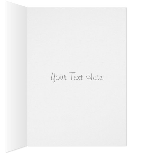 portrait of cute white long coat akita dog (Inside (Right))