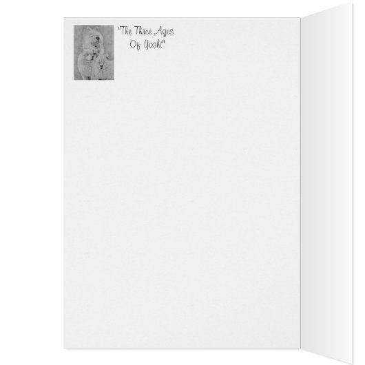 portrait of cute white long coat akita dog (Inside (Left))