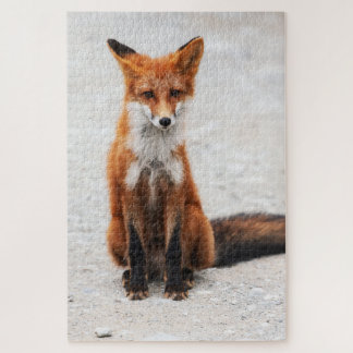Portrait of cute wild red fox with beautiful eyes jigsaw puzzle