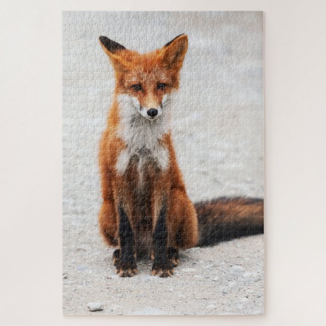 Portrait of cute wild red fox with beautiful eyes jigsaw puzzle (Vertical)