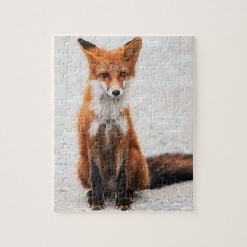 Portrait of cute wild red fox with beautiful eyes jigsaw puzzle