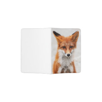 Portrait of cute wild red fox with beautiful eyes passport holder