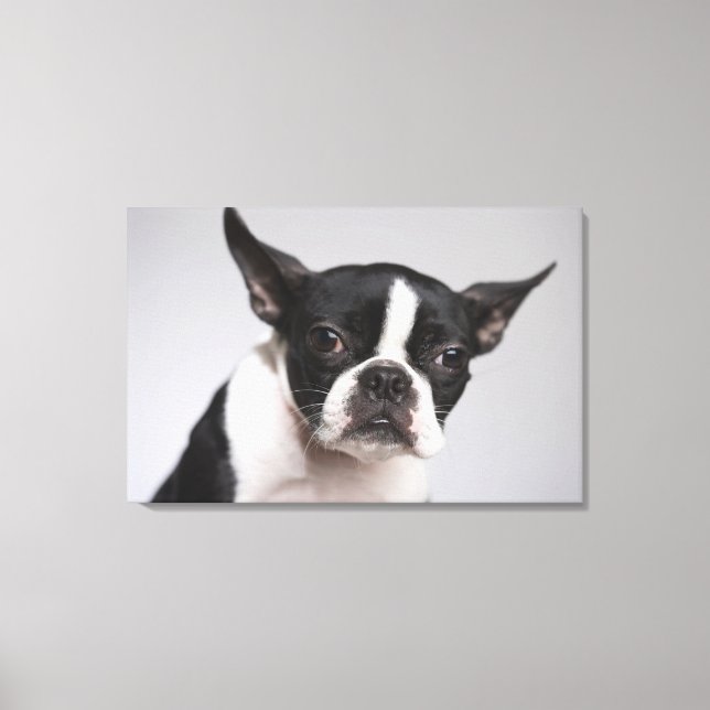 Portrait of dog canvas print (Front)