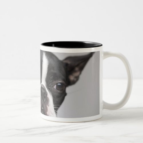 Portrait of dog Two_Tone coffee mug