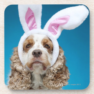 Portrait of dog wearing Easter bunny ears Coaster