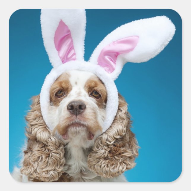 Portrait of dog wearing Easter bunny ears Square Sticker (Front)