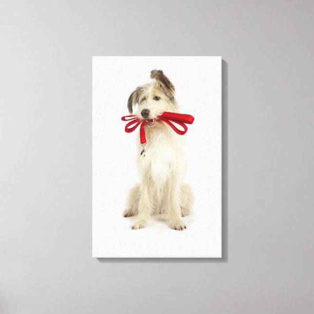 Portrait of Dog with Leash Canvas Print (Front)