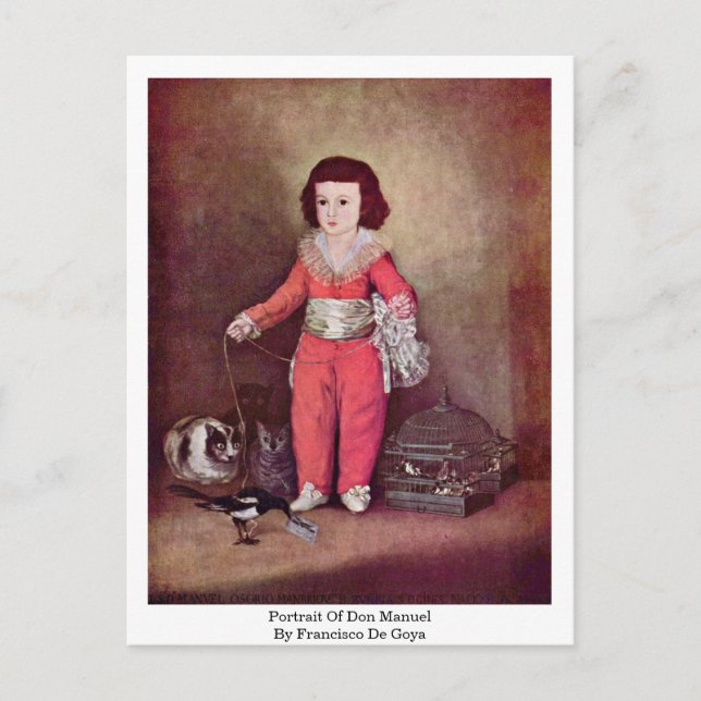 Portrait Of Don Manuel By Francisco De Goya Postcard (Front)