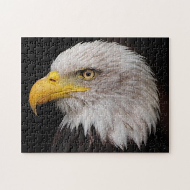 Portrait of eagle jigsaw puzzle (Horizontal)