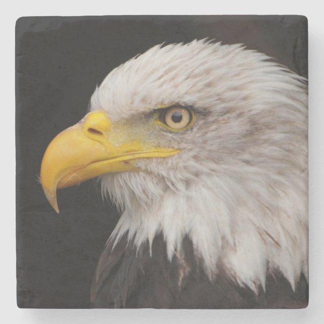 Portrait of eagle stone coaster (Front)