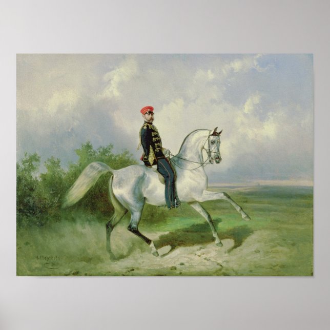 Portrait of Emperor Alexander II  1876 Poster (Front)
