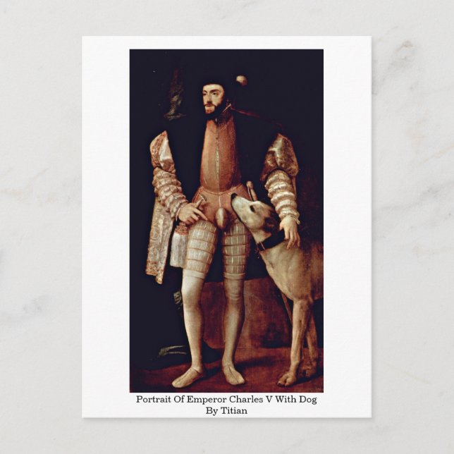 Portrait Of Emperor Charles V With Dog By Titian Postcard (Front)