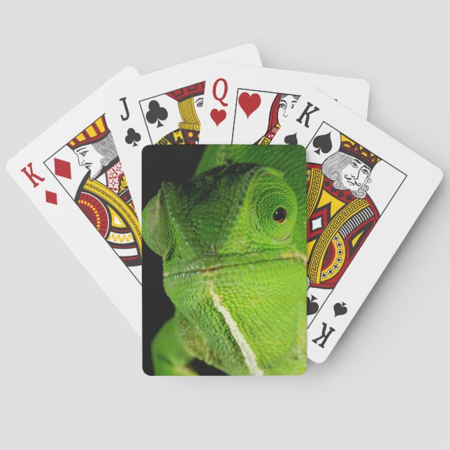 Portrait Of Flap-Necked Chameleon Poker Cards (Back)