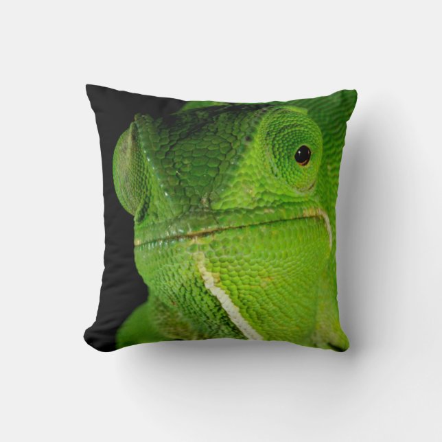 Portrait Of Flap-Necked Chameleon Throw Pillow (Front)