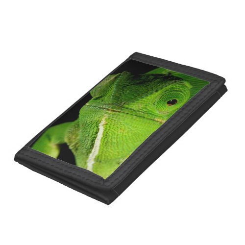 Portrait Of Flap_Necked Chameleon Tri_fold Wallet