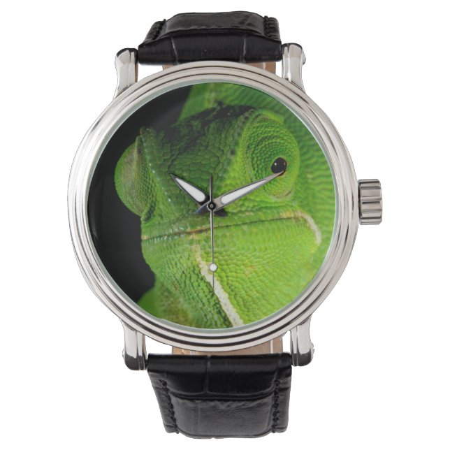 Portrait Of Flap-Necked Chameleon Watch (Front)