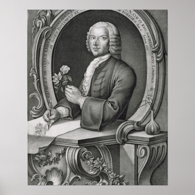 Portrait of Georg Dionysius Ehret (1710-70) engrav Poster (Front)