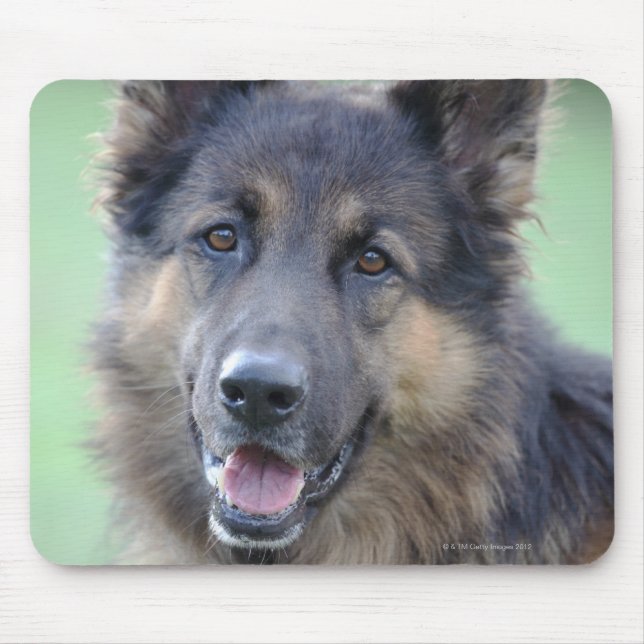 Portrait of German Sheppard Mouse Pad (Front)