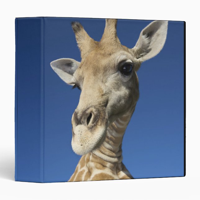 Portrait of Giraffe (Giraffa Camelopardalis) Binder (Front/Spine)