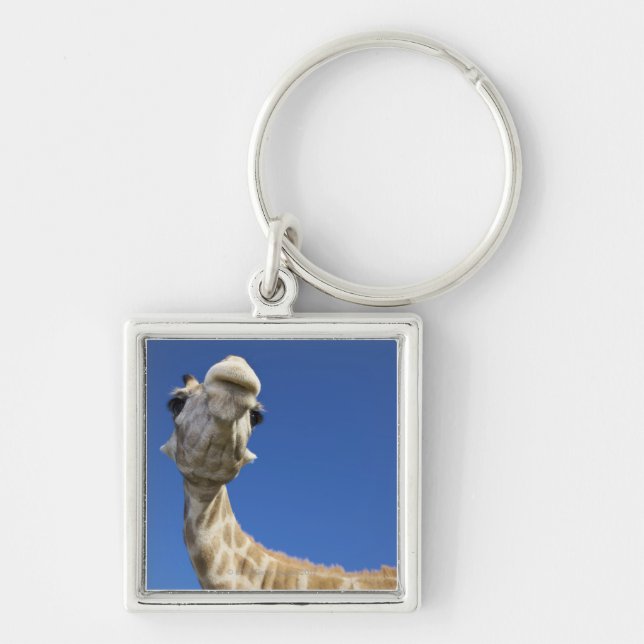 Portrait of Giraffe (Giraffa Camelopardalis) Keychain (Front)