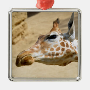 Portrait of giraffe metal ornament
