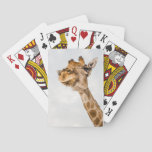 Portrait of Giraffe Playing Cards