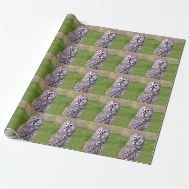 Portrait of great grey owl postcard square sticker wrapping paper (Unrolled)