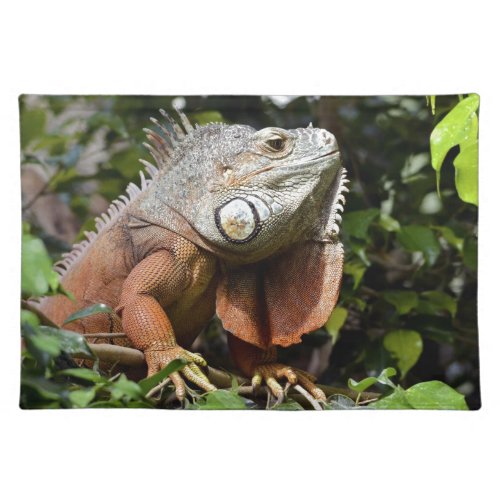 Portrait of green iguana placemat
