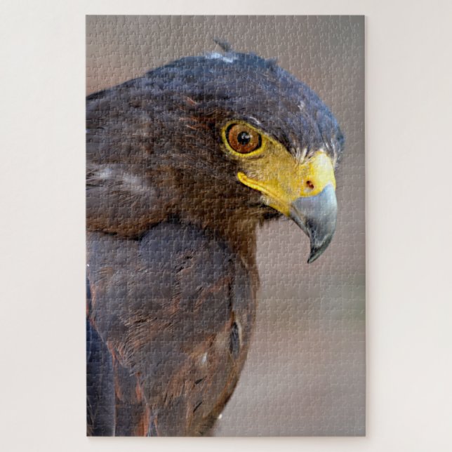 Portrait of Harris Hawk Postcard Jigsaw Puzzle (Vertical)