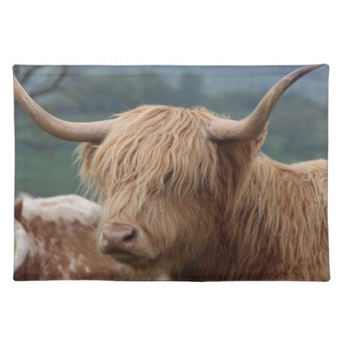 portrait of Highland Cattle Cloth Placemat