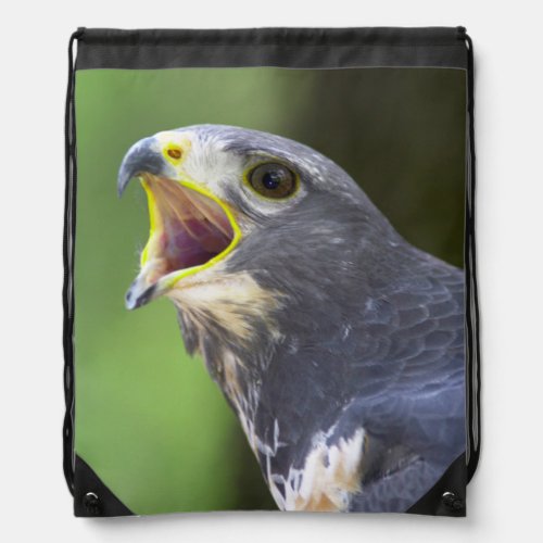 Portrait Of Jackal Buzzard Buteo Rufofuscus Drawstring Bag