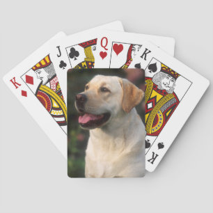 Portrait Of Labrador Retriever, Hilton Poker Cards