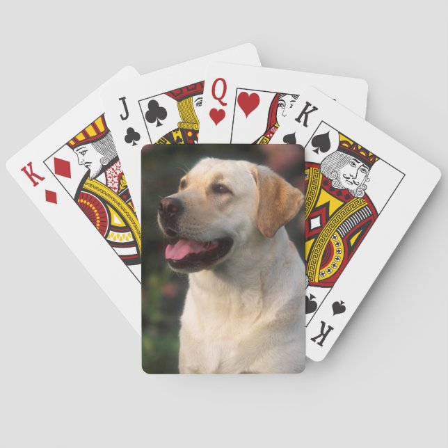 Portrait Of Labrador Retriever, Hilton Poker Cards (Back)