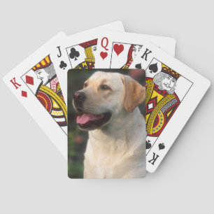 Portrait Of Labrador Retriever, Hilton Poker Cards