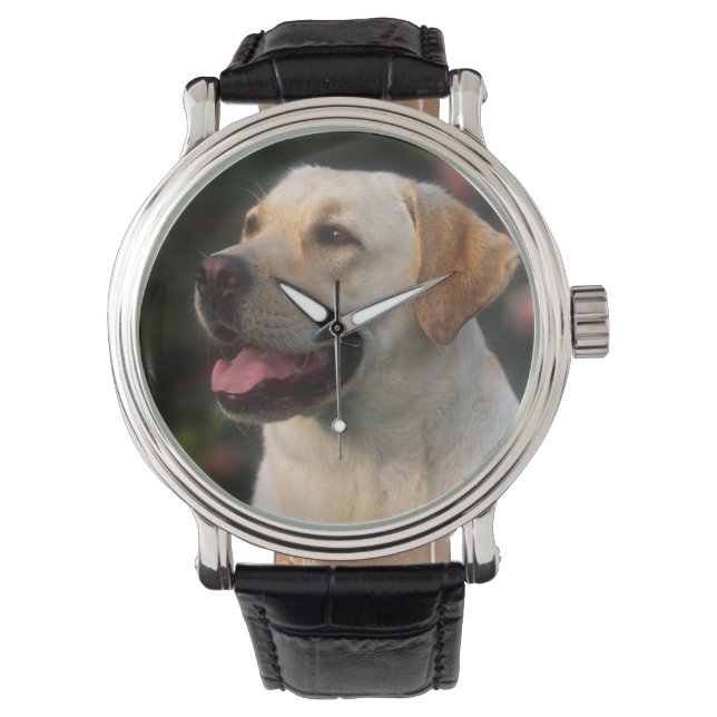 Portrait Of Labrador Retriever, Hilton Watch (Front)