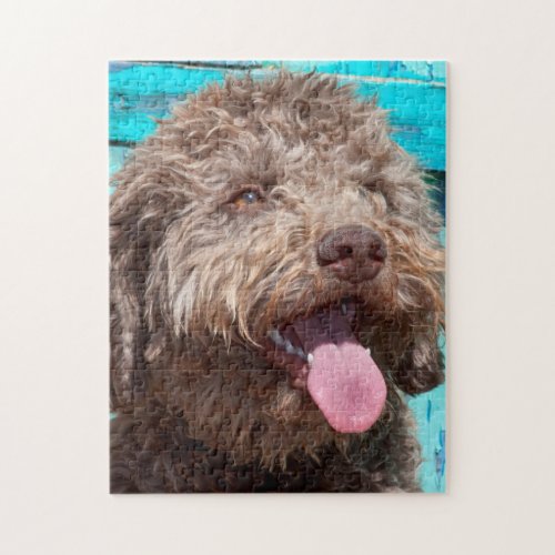 Portrait Of Lagotto Romagnolo In Front Of Blue Jigsaw Puzzle