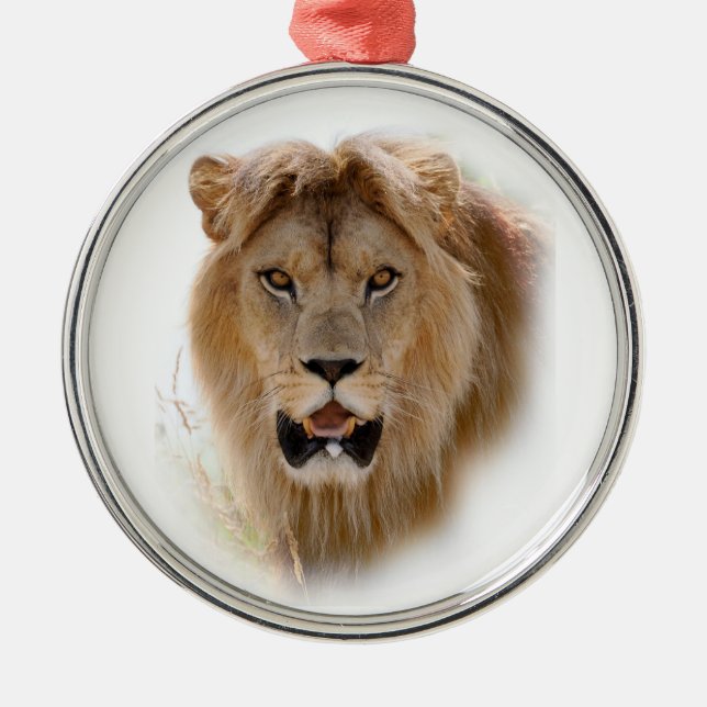 Portrait of lion metal ornament (Front)