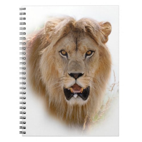 Portrait of lion notebook