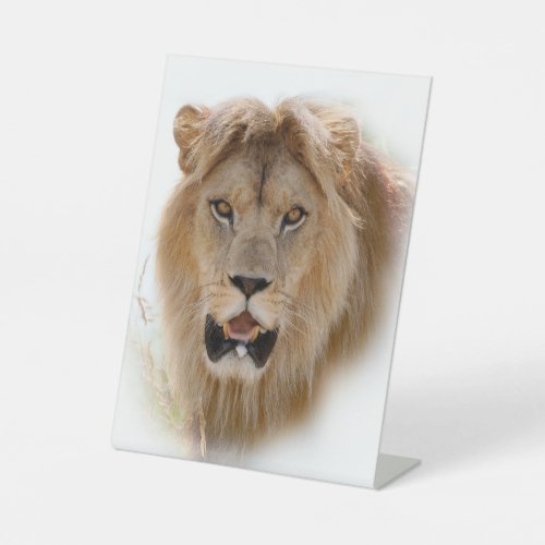 Portrait of lion pedestal sign