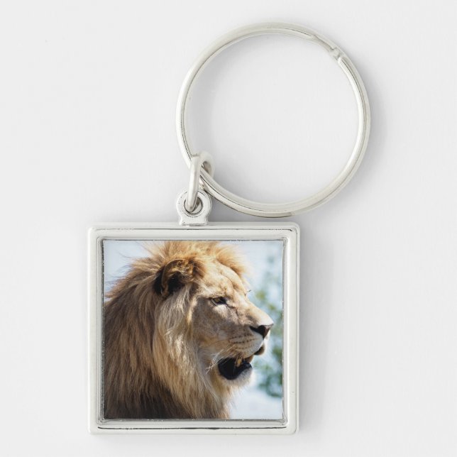 Portrait of lion seen from profile  keychain (Front)