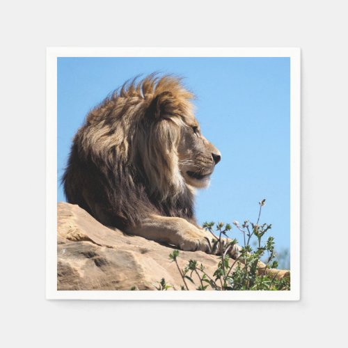 Portrait of lion seen from profile  napkins