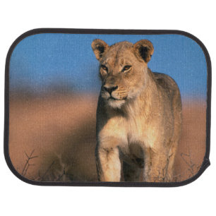Portrait Of Lioness (Panthera Leo) Car Mat